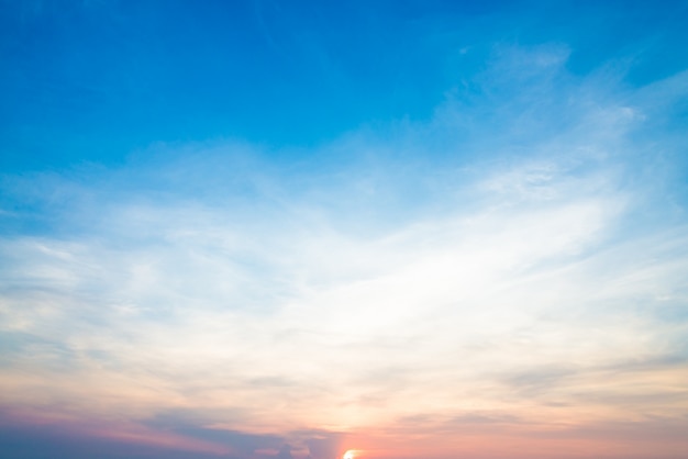 蒋梦洁