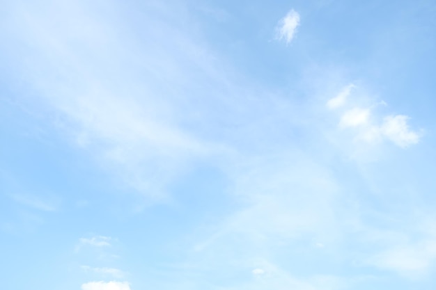 蒋梦洁
