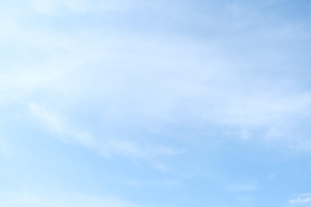 蒋梦洁